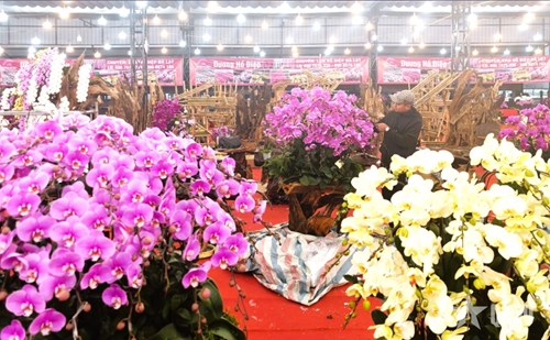 Hội chợ hoa xuân phường Long Biên